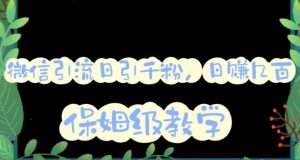 微信互推圈半自动引流方案，矩阵操作日引千人思路【详细视频教程】-6688资源库
