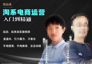 2023手淘搜索实操课+体系化课程，​起店起单品实操视频课程-6688资源库