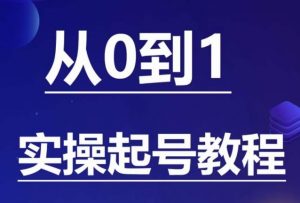 石野·小白起号实操教程，​掌握各种起号的玩法技术，了解流量的核心-6688资源库