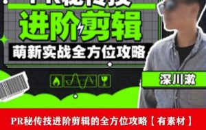 PR进阶剪辑培训班，让你快速成为剪辑大师12节视频课程+素材！-6688资源库