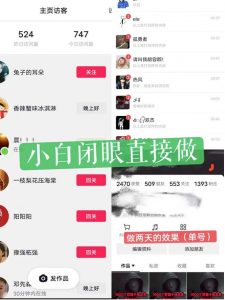 一天做完别一辈子的视频制作最近很火的《1000个野路子信息差》100%过原创【揭秘】-6688资源库