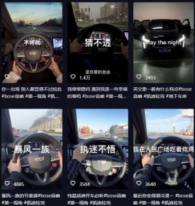 抖音开车视频项目，0基础操作，每天五分钟，月入1W+【揭秘】-6688资源库