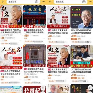拆解小红书宝宝起名虚拟副业项目，一条龙实操玩法分享给你（教程+软件）-6688资源库