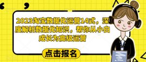 2023淘宝数据化运营14式，深度解析数据化知识，帮你从小白成长为高级运营-6688资源库