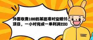 外面收费188的美团准时宝赔付项目，一小时完成一单利润200【仅揭秘】-6688资源库