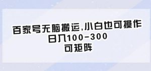 百家号无脑搬运，小白也可操作，日入100-300，可矩阵【仅揭秘】-6688资源库