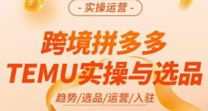 伍跃·跨境拼多多TEMU实操与选品，​趋势/选品/运营/入住（27节完整）-6688资源库