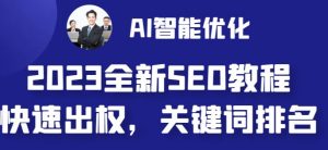 2023最新网站AI智能优化SEO教程，简单快速出权重，AI自动写文章+AI绘画配图-6688资源库