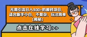 无需引流日入300+的搬砖项目，适合新手小白，不复杂、玩法简单【揭秘】-6688资源库