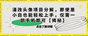 漫改头像项目分解，即使是小白也能轻松上手，仅需一部手机即可【揭秘】-6688资源库