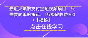 最近火爆的支付宝短视频项目，只需要简单的搬运，1万播放收益300+【揭秘】-6688资源库