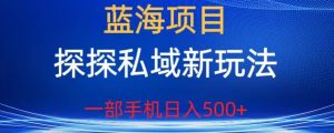 蓝海项目,探探私域新玩法,一部手机日入500+很轻松【揭秘】-6688资源库