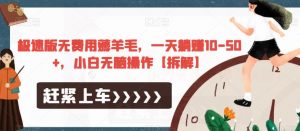 极速版无费用薅羊毛，一天躺赚10-50+，小白无脑操作【拆解】-6688资源库