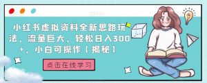 小红书虚拟资料全新思路玩法，流量巨大，轻松日入300+，小白可操作【揭秘】-6688资源库