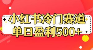 小红书冷门赛道，单日盈利500+【揭秘】-6688资源库