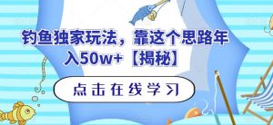 钓鱼独家玩法，靠这个思路年入50w+【揭秘】-6688资源库