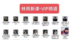 林雨新课VIP频道，玩赚私域/朋友圈/社群-6688资源库