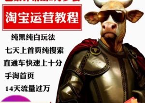 猫老师·淘系算法逆向解密，​纯黑纯白玩法，七天上首页纯搜索，手淘首页14天流量过万-6688资源库