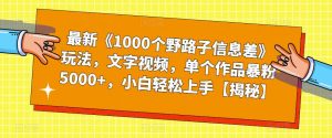 最新《1000个野路子信息差》玩法，文字视频，单个作品暴粉5000+，小白轻松上手【揭秘】-6688资源库