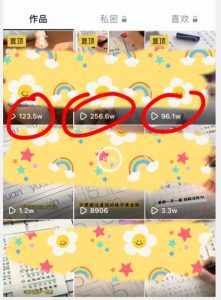 被忽视的冷门项目，随便写写字都能实现月入过万，每天半小时，适合0基础，手机可做【揭秘】-6688资源库