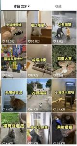 拆解:抖音盘点类中视频变现副业项目,视频版一条龙大解析分享给你-6688资源库