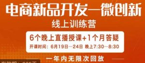 南掌柜·电商新品开发——微创新，电商新品微创新是你企业发展的护城河-6688资源库