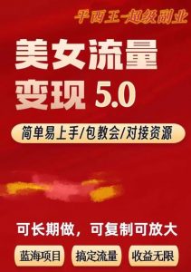 TK美女短视频变现项目无限复制（升级版），全网最高性价比项目【揭秘】-6688资源库
