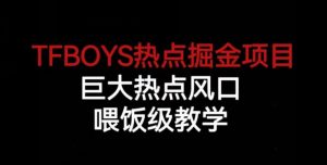 TFBOYS热点掘金项目，巨大热点风口，喂饭级教学-6688资源库