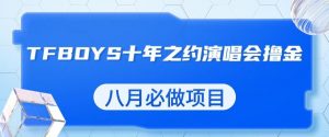 最新蓝海项目，靠最近非常火的TFBOYS十年之约演唱会流量掘金，八月必做的项目【揭秘】-6688资源库