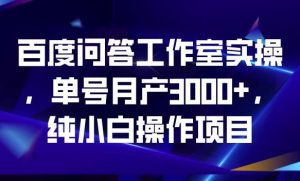 百度问答工作室实操，单号月产3000+，纯小白操作项目【揭秘】-6688资源库