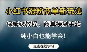 小红书涨粉商单新玩法，保姆级教程，商单接到手软，纯小白也能学会【揭秘】-6688资源库