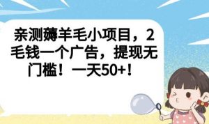 亲测薅羊毛小项目，2毛钱一个广告，提现无门槛！一天50+【揭秘】-6688资源库