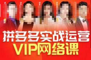 推易拼多多VIP全套直播课程，拼多多店铺实操玩法+实战玩法选款内功+直通车高阶等-6688资源库