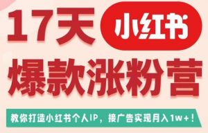 17天小红书爆款涨粉营（广告变现方向），教你打造小红书博主IP、接广告变现的-6688资源库