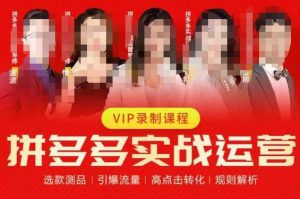 2023推易拼多多实战运营，选款测品、引爆流量、高点击转化、规则解析-6688资源库