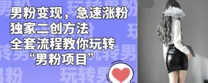 男粉变现，急速涨粉独家二创方法，全套流程教你玩转“男粉项目”【揭秘】-6688资源库