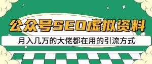 公众号SEO虚拟资料，操作简单，日入500+，可批量操作【揭秘】-6688资源库