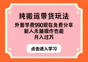 纯搬运带货玩法，外面学费990现在免费分享，新人无脑操作也能月入过万【揭秘】-6688资源库
