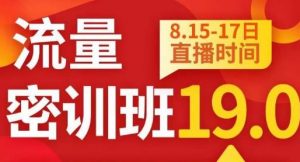 秋秋线上流量密训班19.0，打通流量关卡，线上也能实战流量破局-6688资源库