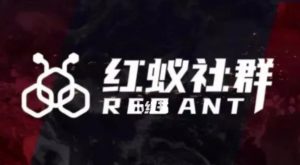 社群运营：红蚁社群【48节落地系统课程+2000人高端社群】-6688资源库