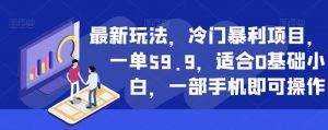 最新玩法，冷门暴利项目，一单59.9，适合0基础小白，一部手机即可操作【揭秘】-6688资源库