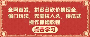 全网首发，拼多多砍价撸现金，偏门玩法，无需拉人头，傻瓜式操作保姆教程【揭秘】-6688资源库