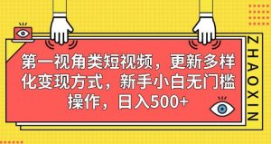 第一视角类短视频，更新多样化变现方式，新手小白无门槛操作，日入500+【揭秘】-6688资源库