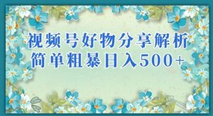 视频号好物分享解析，简单粗暴可以批量方大的项目【揭秘】-6688资源库