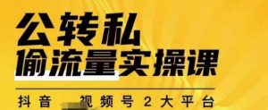 群响公转私偷流量实操课,致力于拥有更多自持,持续,稳定,精准的私域流量!-6688资源库
