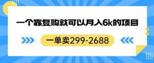 一单卖299-2688，一个靠复购就可以月入6k的暴利项目【揭秘】-6688资源库