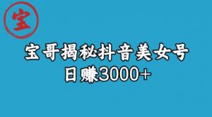 宝哥揭秘抖音美女号玩法，日赚3000+【揭秘】-6688资源库