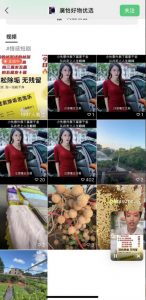 外面收费198的最新视频号连怼技术，条条原创，条条爆单【揭秘】-6688资源库