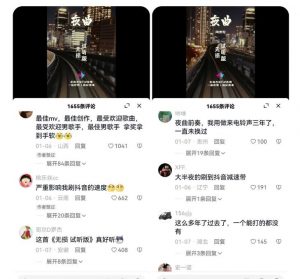 副业拆解：抖音杰伦音乐号涨粉变现项目，视频版一条龙实操玩法分享给你-6688资源库