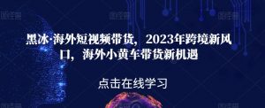 黑冰·海外短视频带货，2023年跨境新风口，海外小黄车带货新机遇-6688资源库